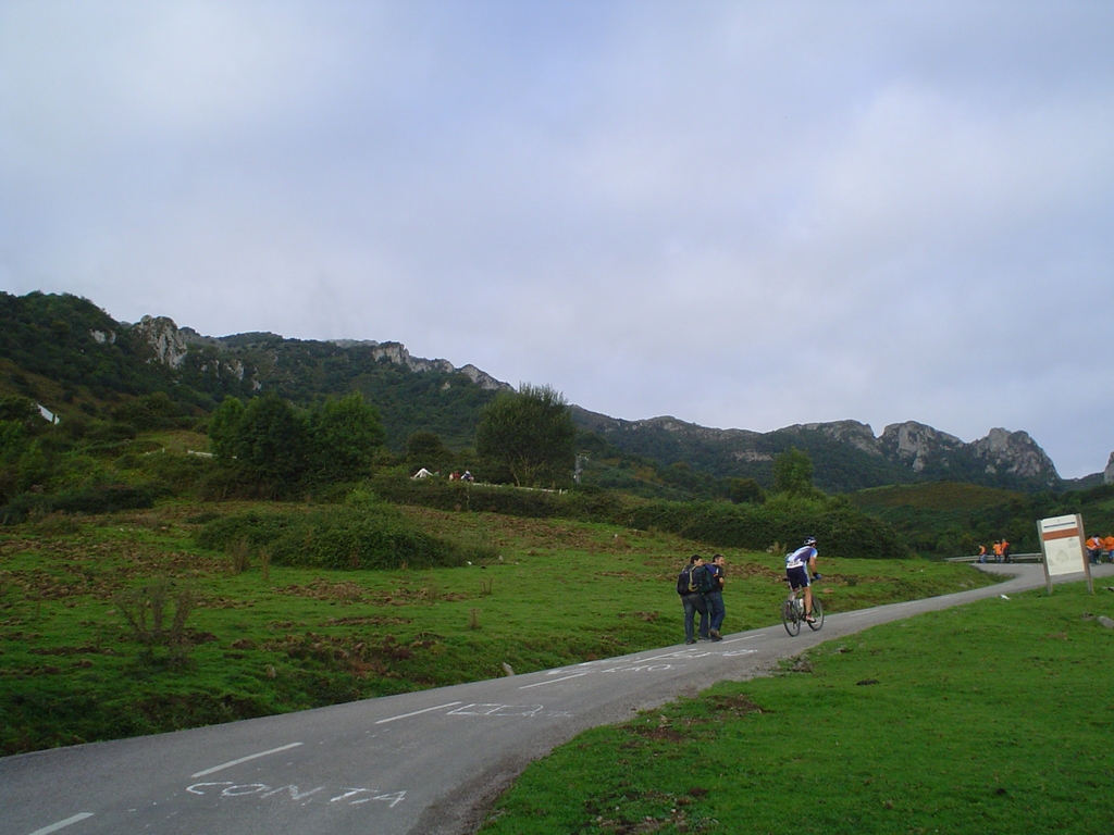 DSC08275.JPG